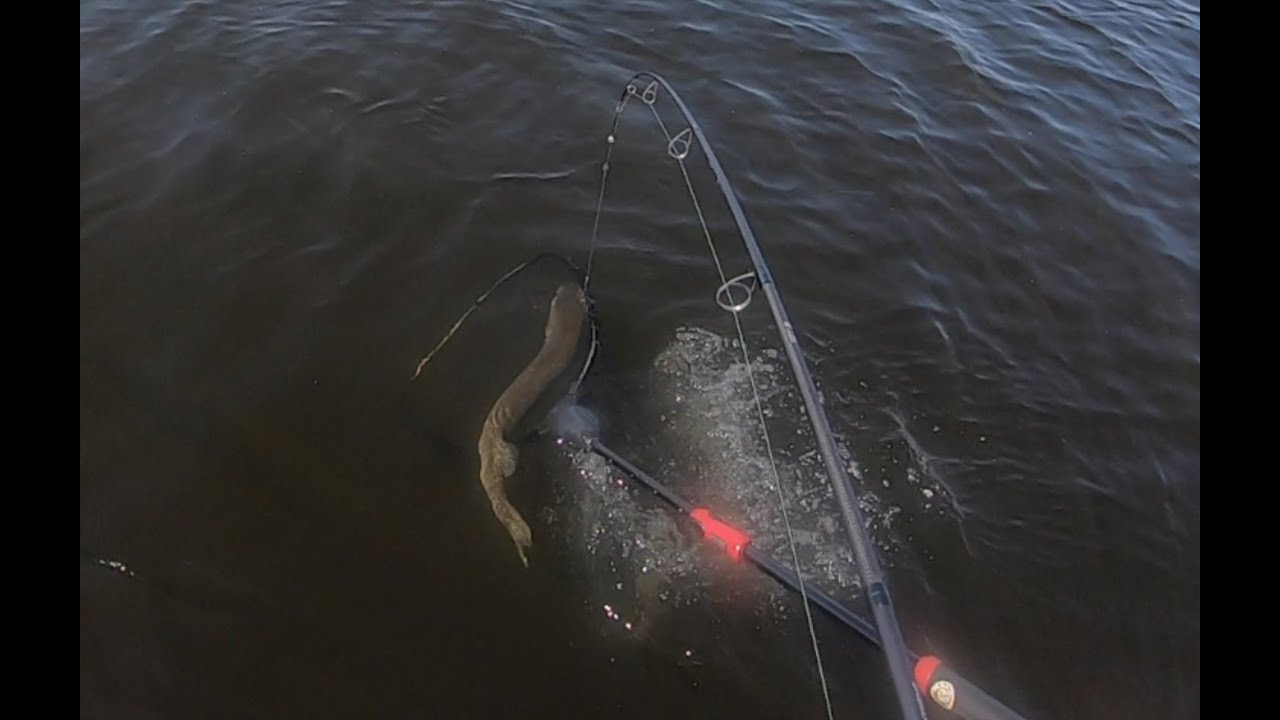 Casting for pike Tobin Lake Saskatchewan