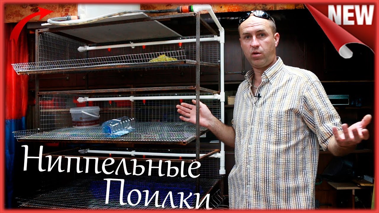 Подробный Монтаж и сборка ниппельных поилок для Кур и Перепелов. Как сделать ниппельную  поилку