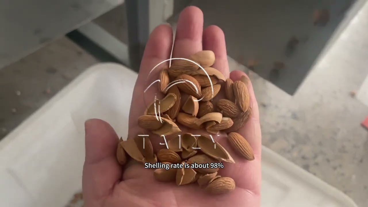 Hazelnut Shelling Breaking Equipment | Almond Cracking Machine
