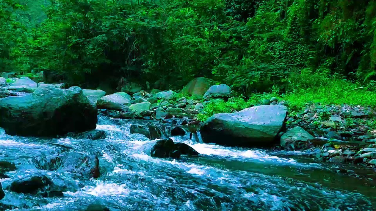 Full Force River Sounds  10 Hours Natural Relaxation Audio
