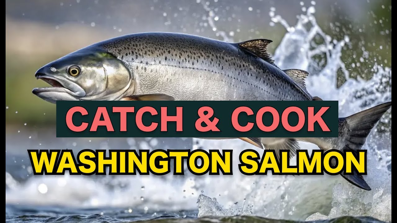 Catch and Cook - Washington Salmon