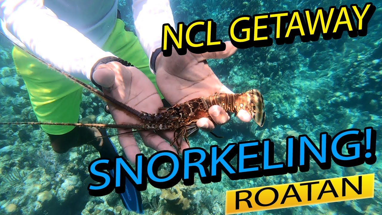 Snorkeling Paradise: Exploring Tabyana Beach in Roatan with Norwegian Getaway! DAY 3