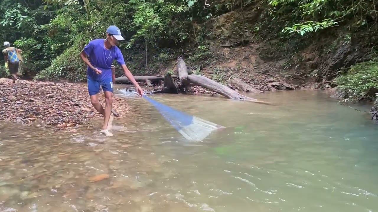 Begiga ke Matalau, ulu musah.