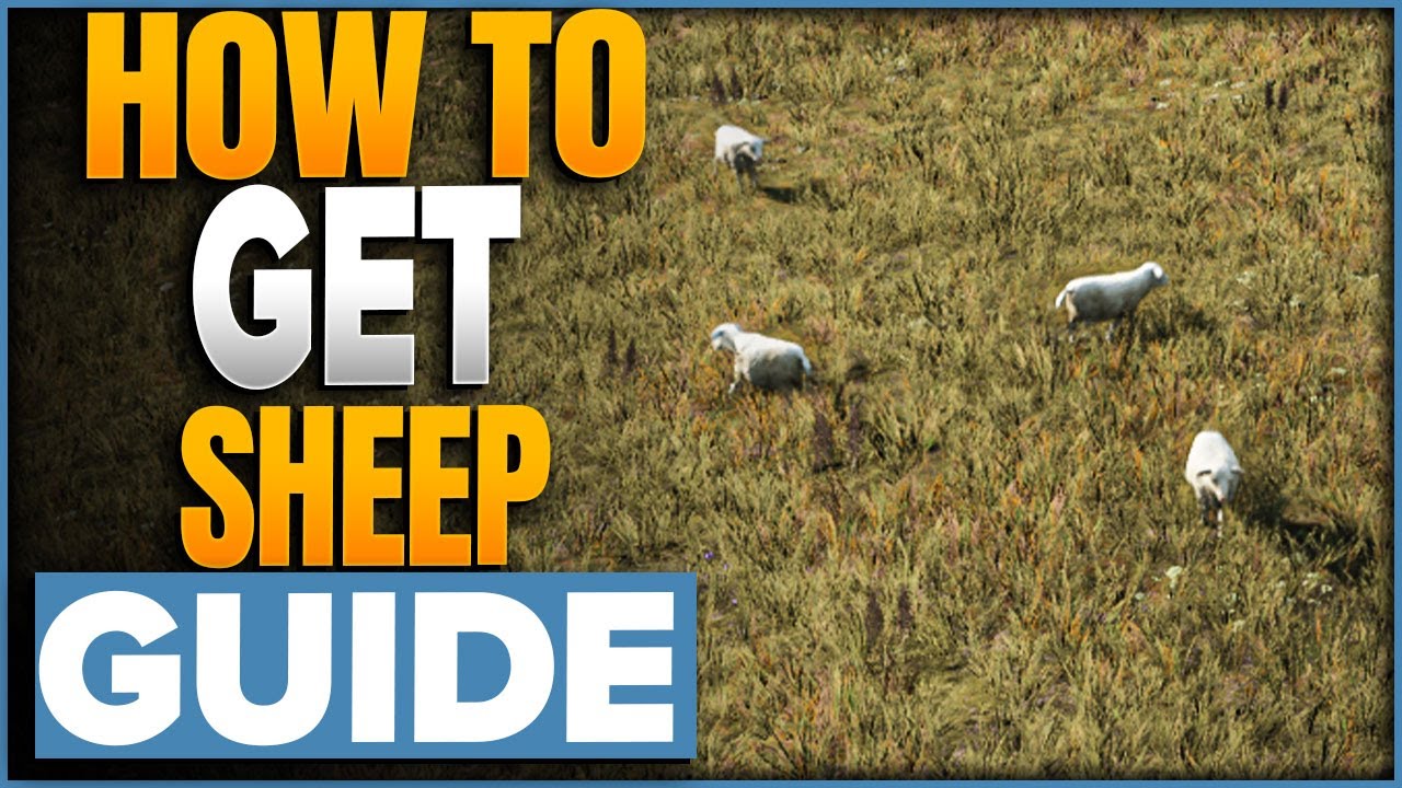 How To Get Sheep In Manor Lords