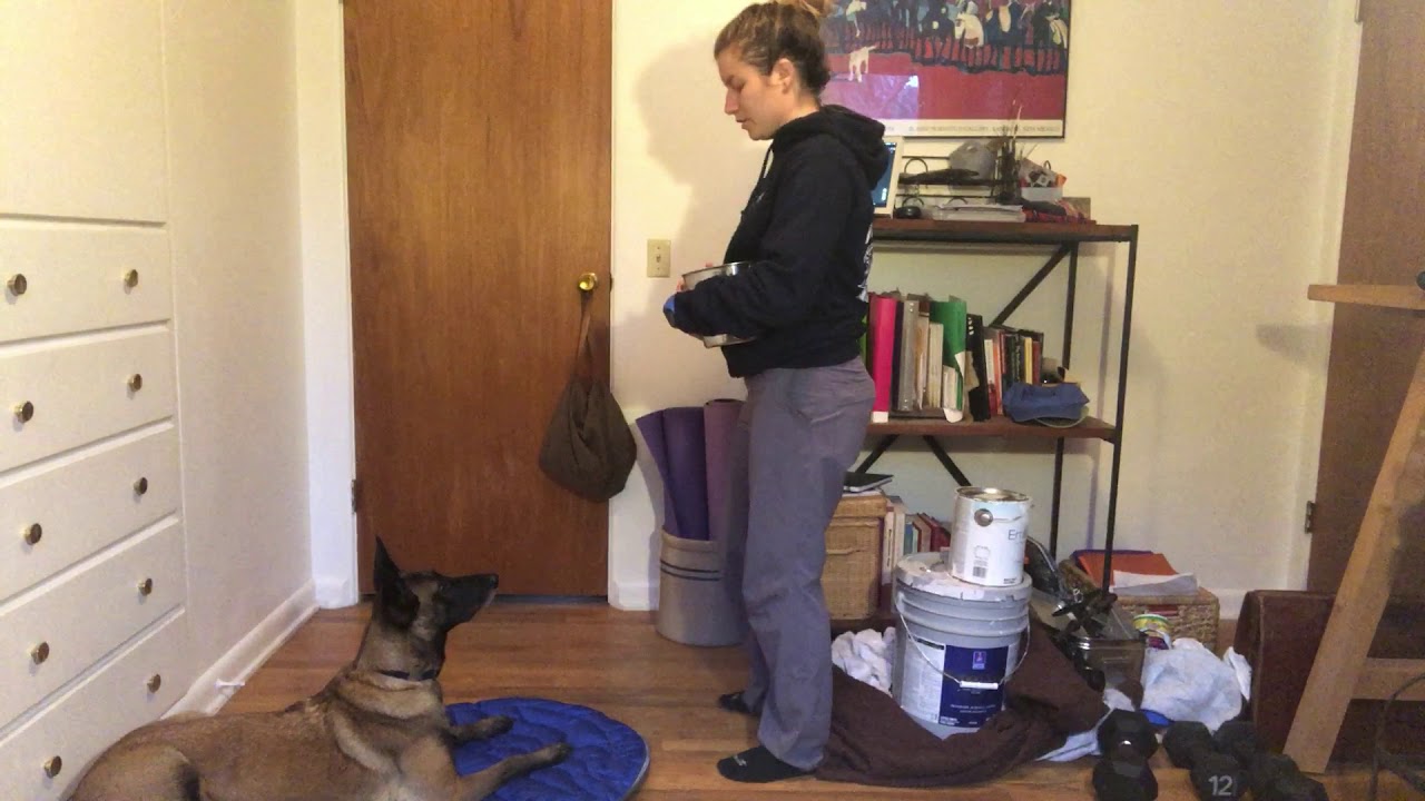Day 3 of Karen Overall's Relaxation Protocol With Tule