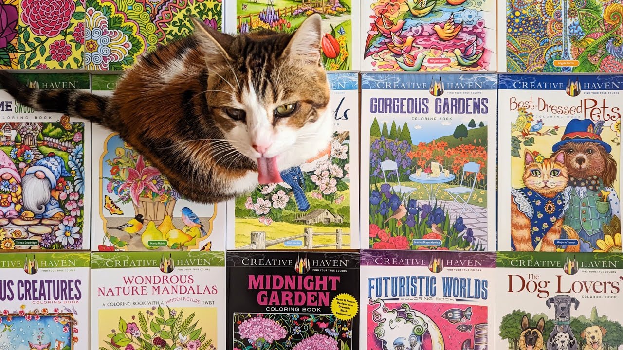 9. Все мои раскраски. Creative Haven. Dover publications coloring book