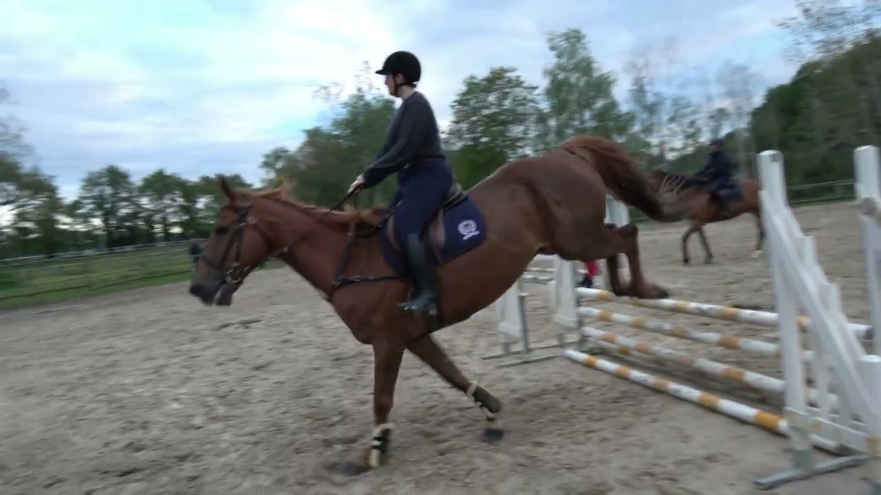 [Etrier Sarthois] Cours Laetitia - 12/05/2023