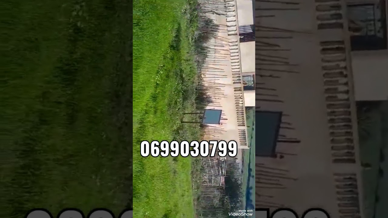 الارض للبيع الفنيذق 700DH مترا