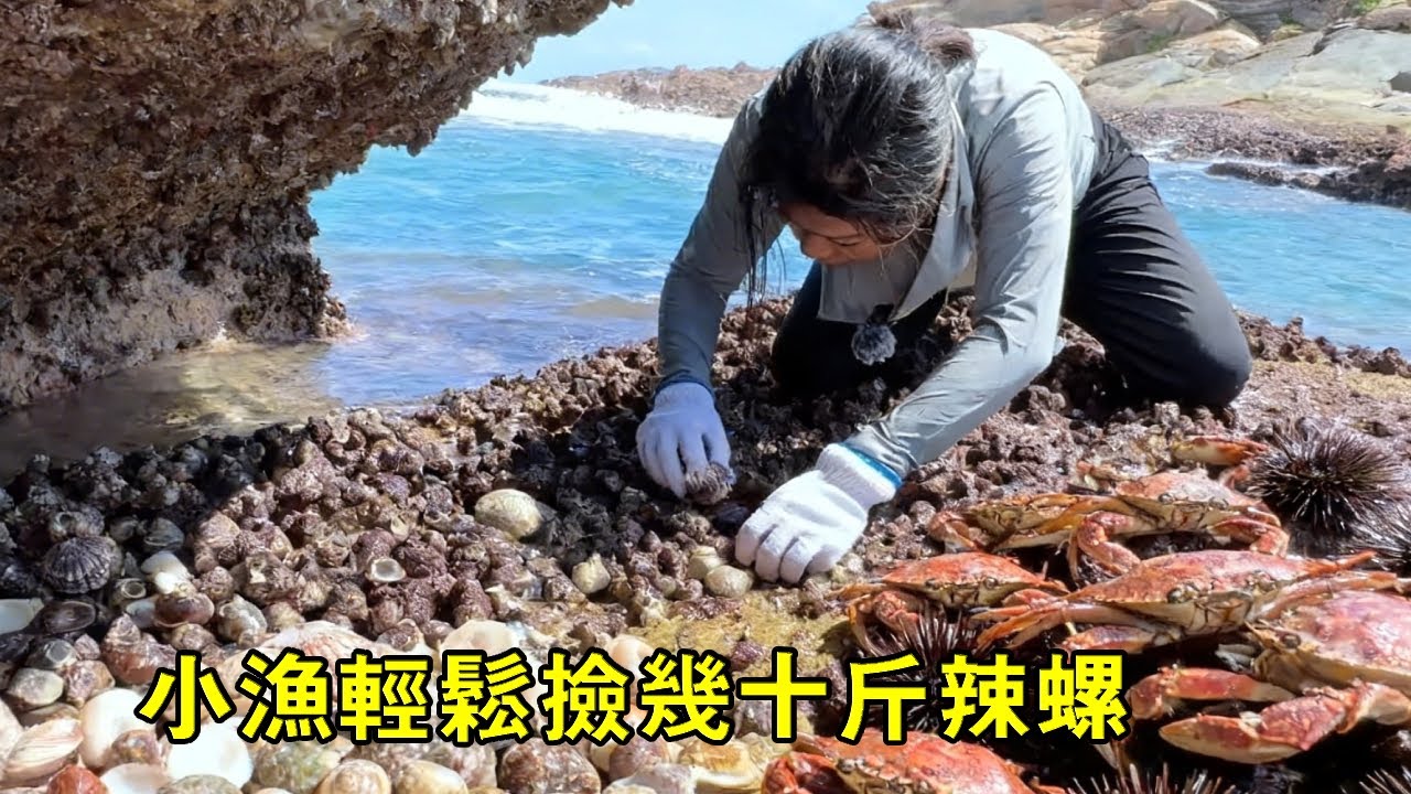 無人島海螺氾濫，小漁輕鬆撿幾十斤，爆桶實現海鮮自由【漁小仙】