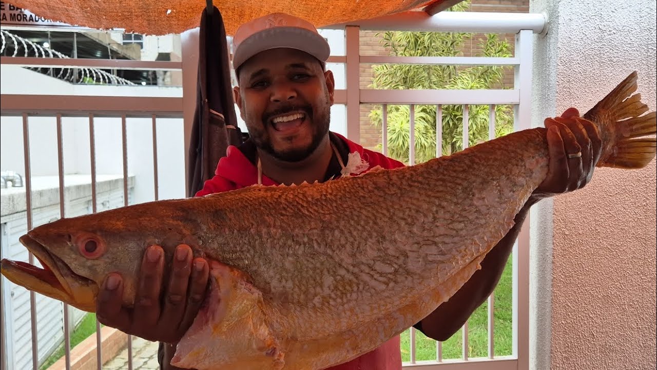 É assim que se limpar Pescada amarela 