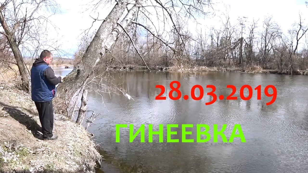 Клевало вчера и завтра! / Северский донец / Гинеевка / 28 марта 2019