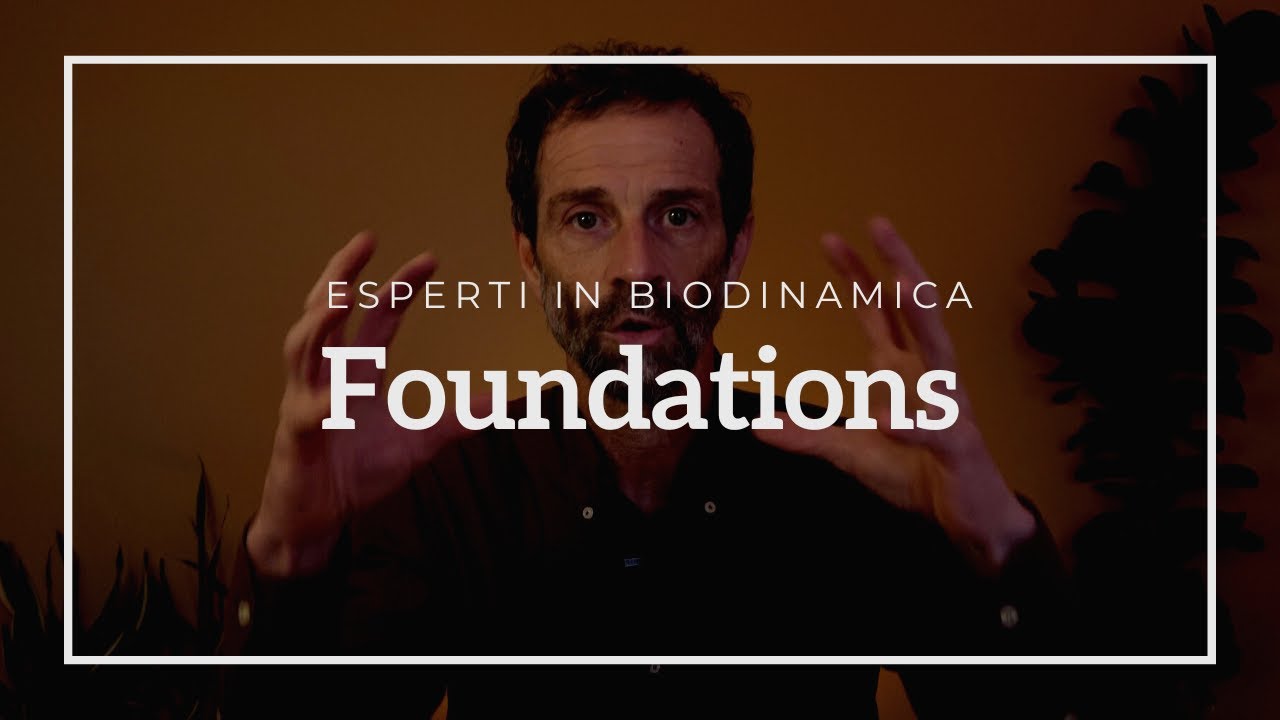 FOUNDATIONS - Come diventare esperti in Biodinamica Craniosacrale