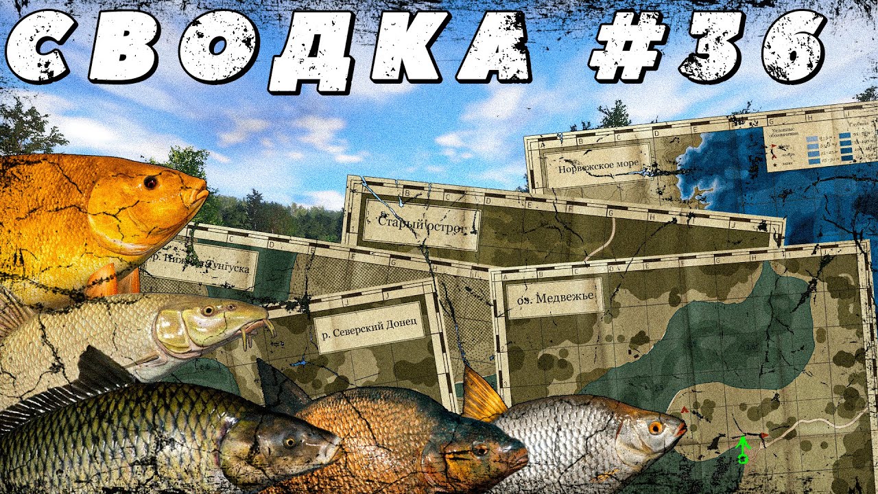ФАРМ СЕРЕБРА, РАЗДАЧА ТРОФЕЕВ | СВОДКА ПО ВОДОЕМАМ №36 | ФАРМ НА МЕДНОМ | РЕДКИЙ ТРОФЕЙ САЗАНА