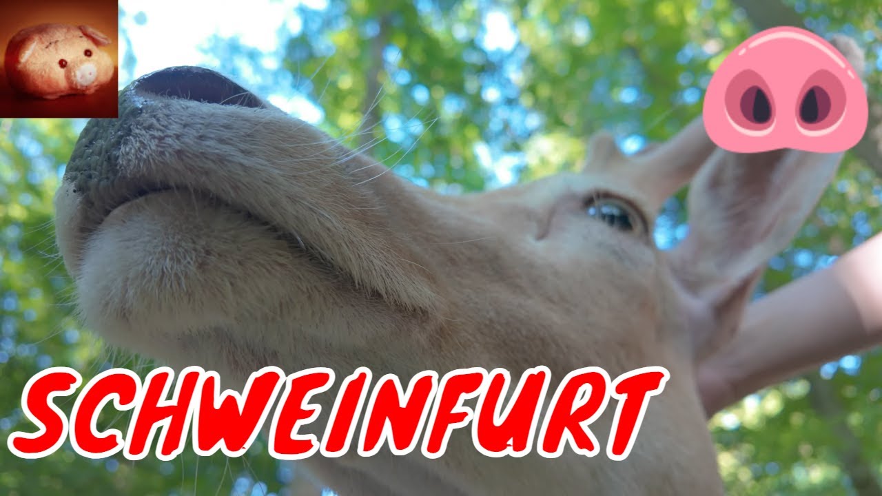 🐖 ШВАЙНФУРТ (БАВАРИЯ)