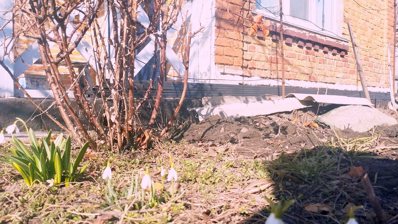 Новий сезон покращень в старому будинку розпочато.