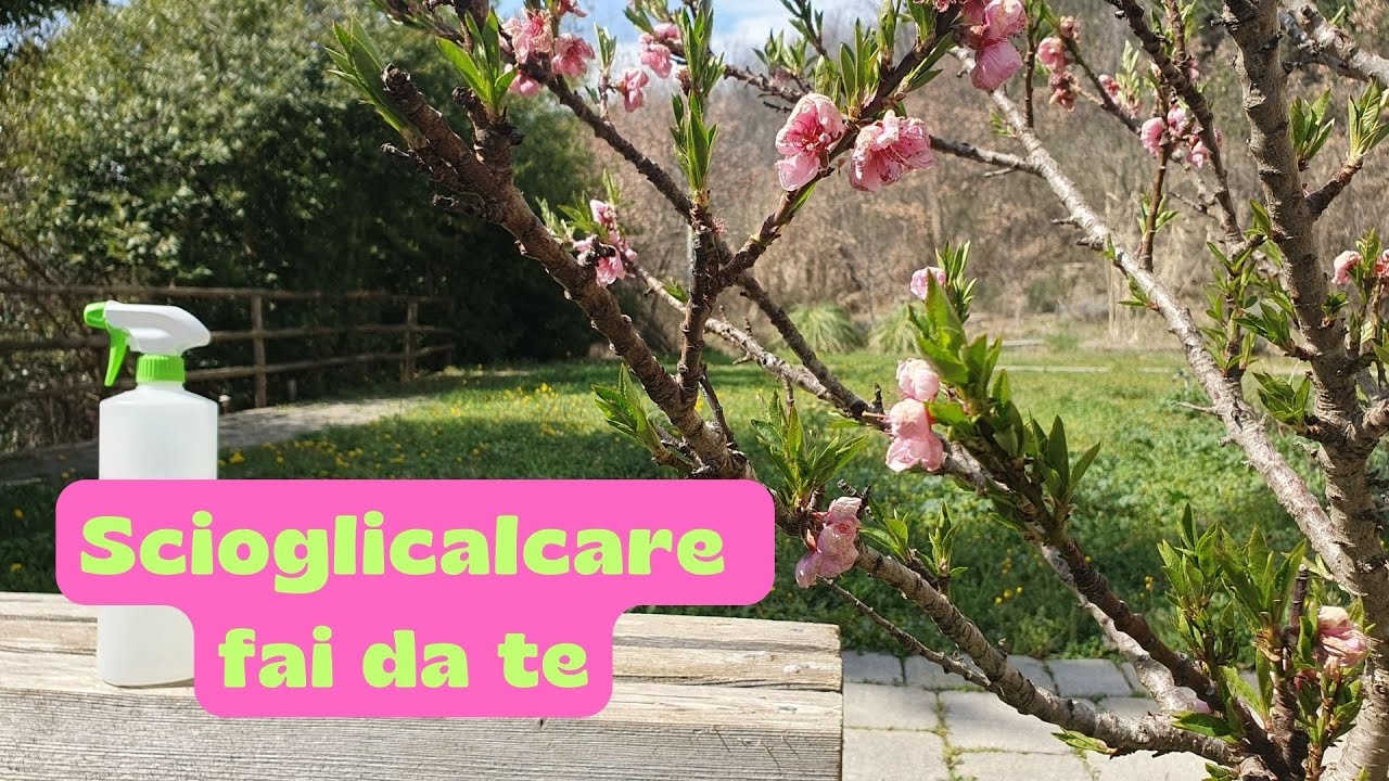 Scioglicalcare fai da te: efficace, facile ed eco.