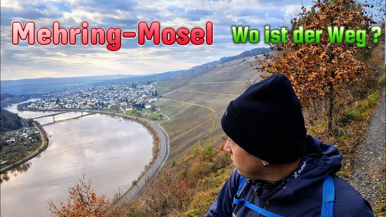 Schilder ignoriert oder Lost im Weinberg #wandern #mosel 