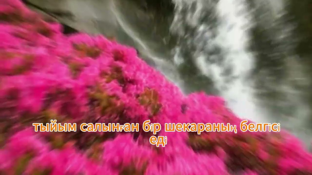 Қайынатаммен арадағы күтпеген жағдай — шынайы оқиға