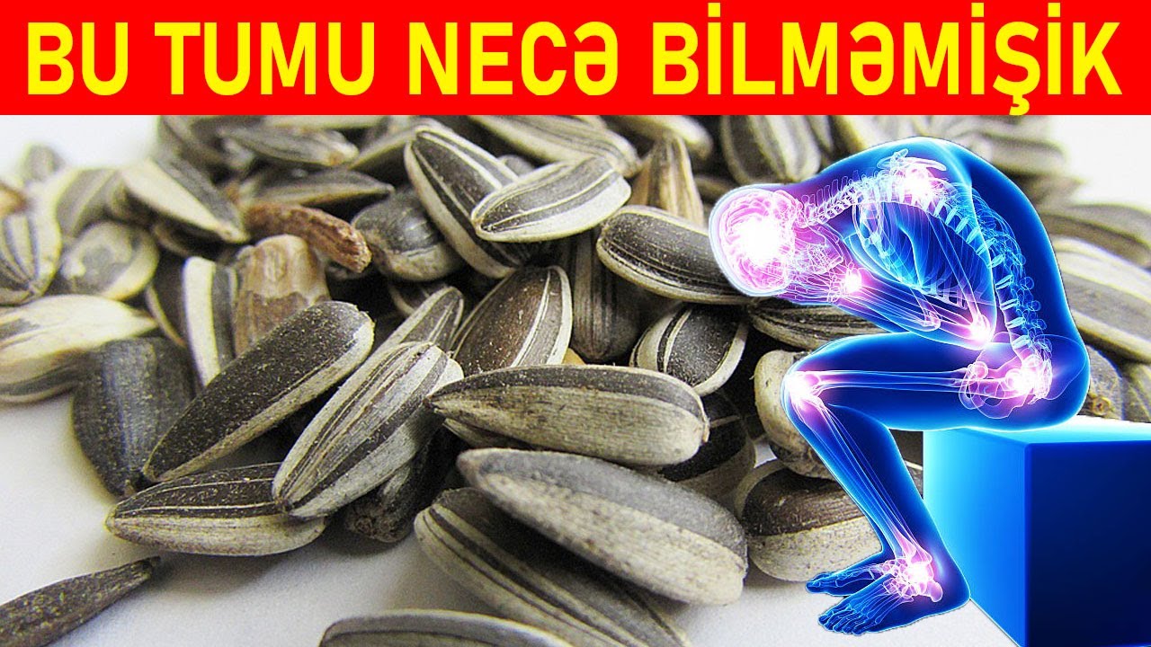 GÜNƏBAXAN TUMUNUN HEÇ KİMDƏN EŞİTMƏDİYİNİZ SİRRLƏRİNİ MƏN AÇIRAM