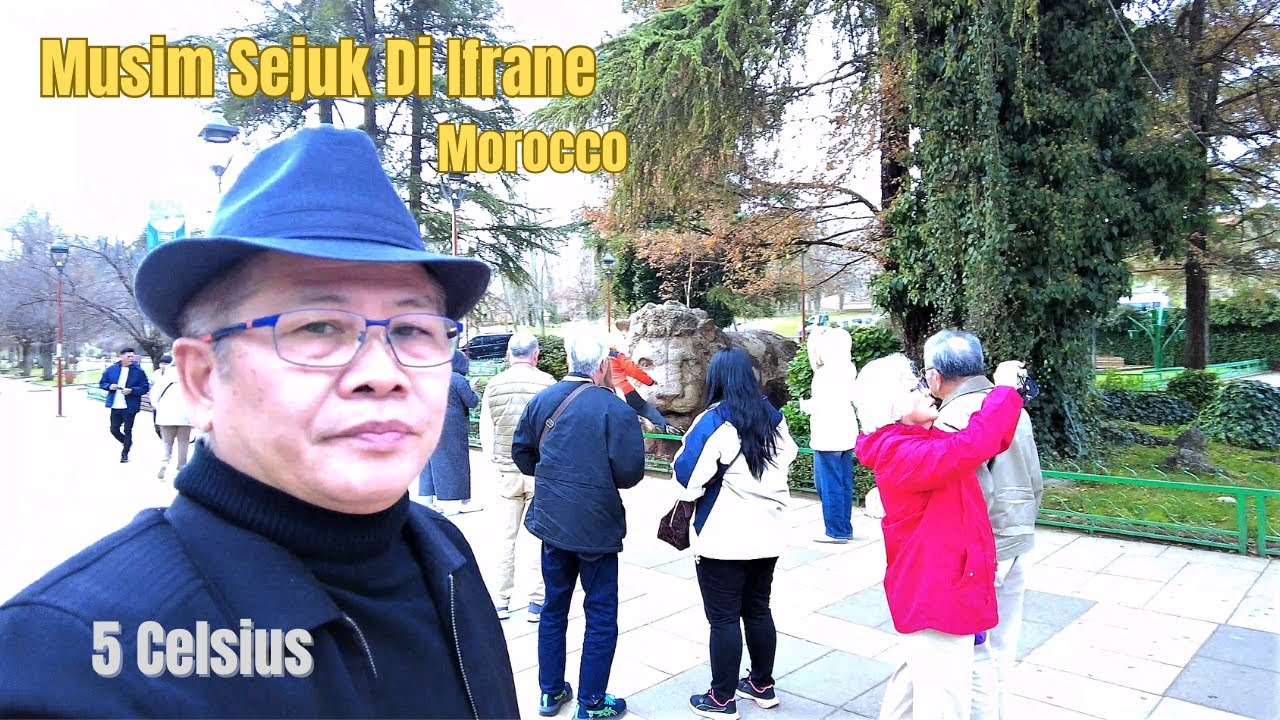 Ifrane //Switzerland Of Morocco//Winter In Morocco/ 20-Day In Europe