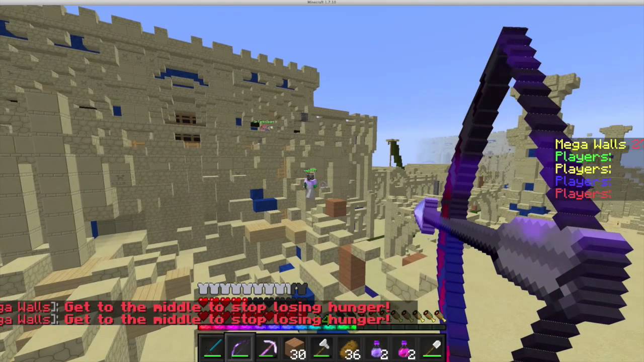 Hypixel mega walls clutch on skelly.