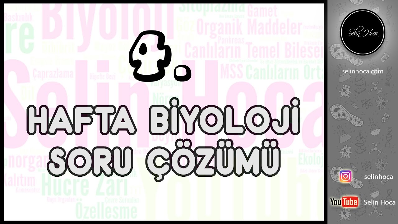 4.  Hafta Biyoloji Soru Çözümü