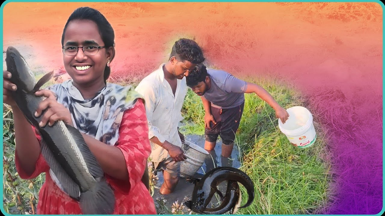 ఎండల కాలం మొదలైందో లేదో ఇంకా ఎక్కడ ఏ చిన్న గుంట చూసినా చాపలే ఇలా దొరుకుతాయని అస్సలు అనుకోలేదు 🤭