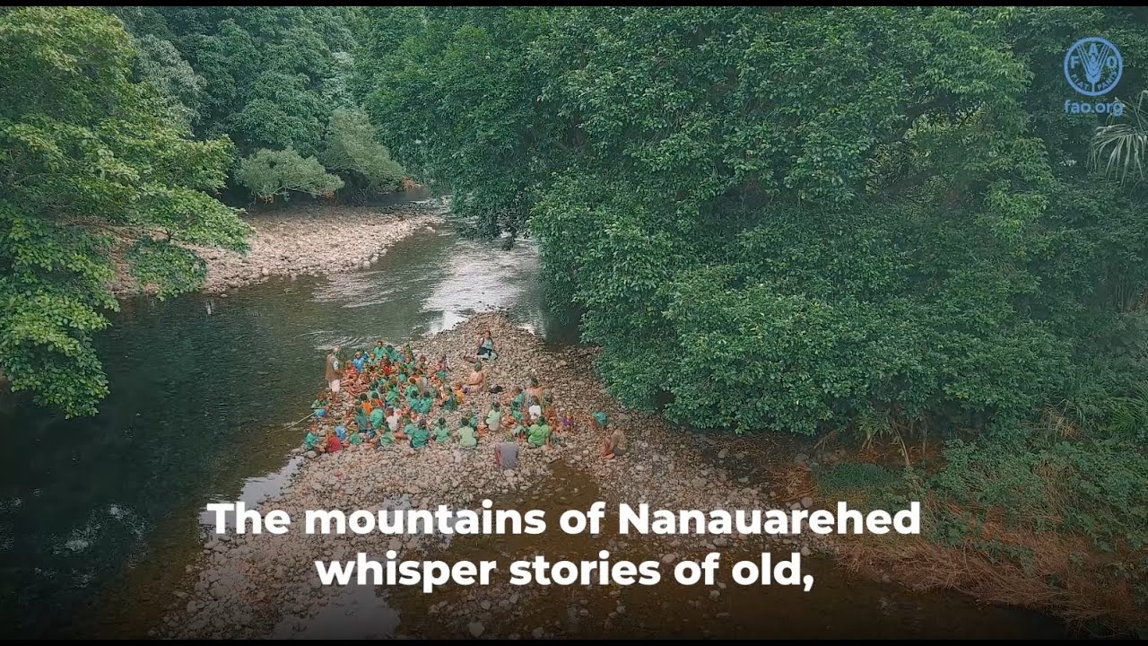 Nanaurehed Community Tabu Conservation Area - Aneityum island Vanuatu.