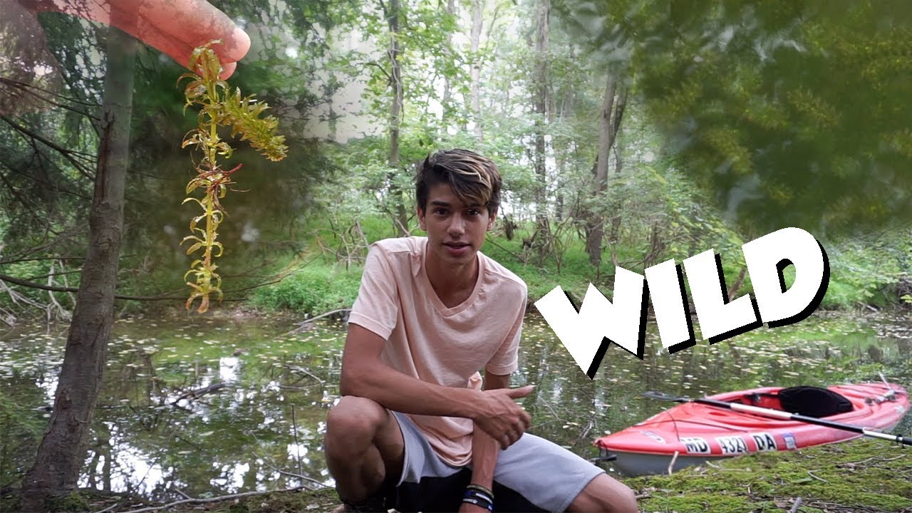 Wild Fish And Plant EcoSystem!! TOUR