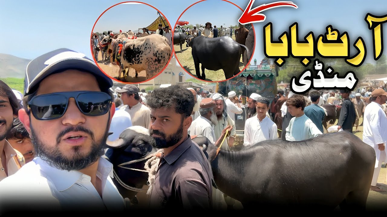 Peshawar ki Sub Sai Sisati Mandi|Arhat Baba Mandi 2024|