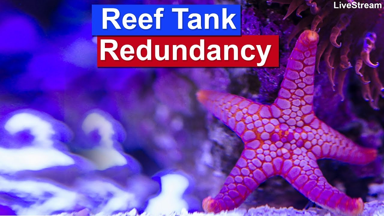 Reef Tank redundancy - Preventing Saltwater Tank Crashes through fail safes and emergency backups