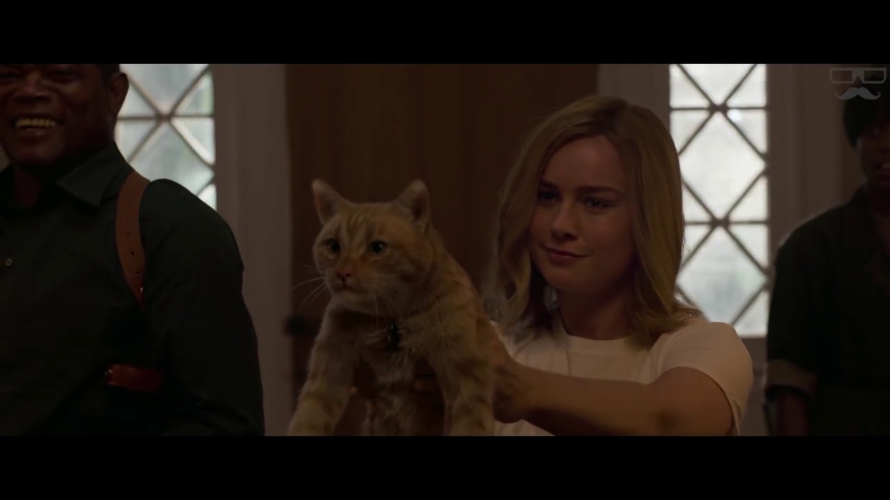 Captain Marvel | That's Not A Cat | That's A Flerken | Brie Larison | 2019