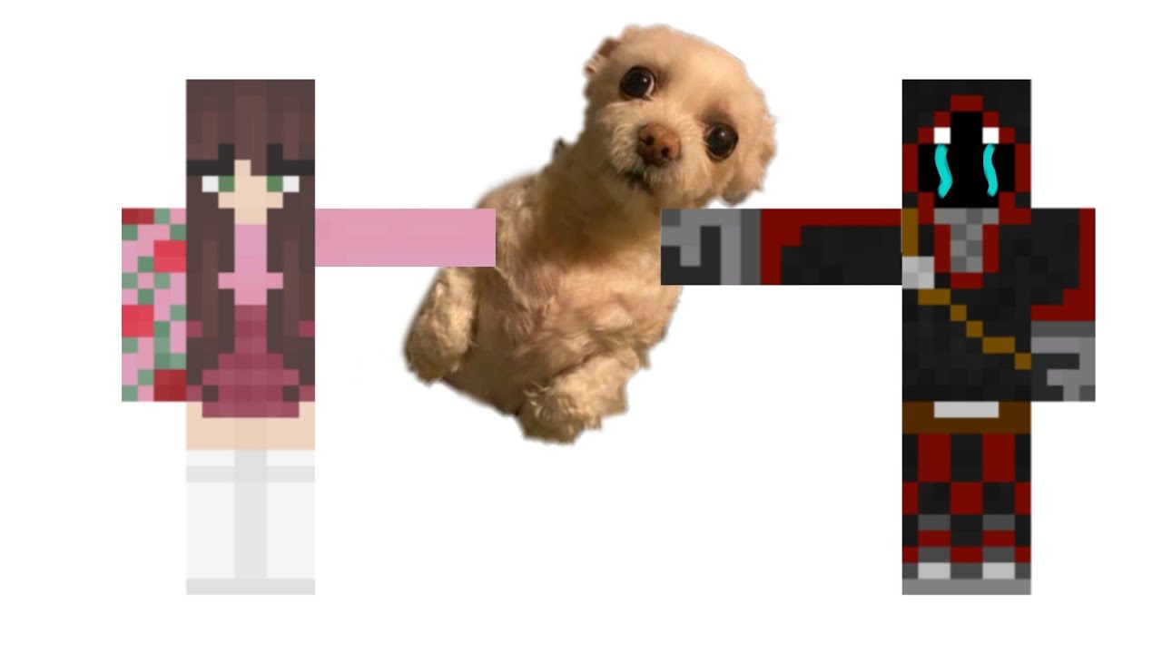 hannah tries to take rat from badboyhalo