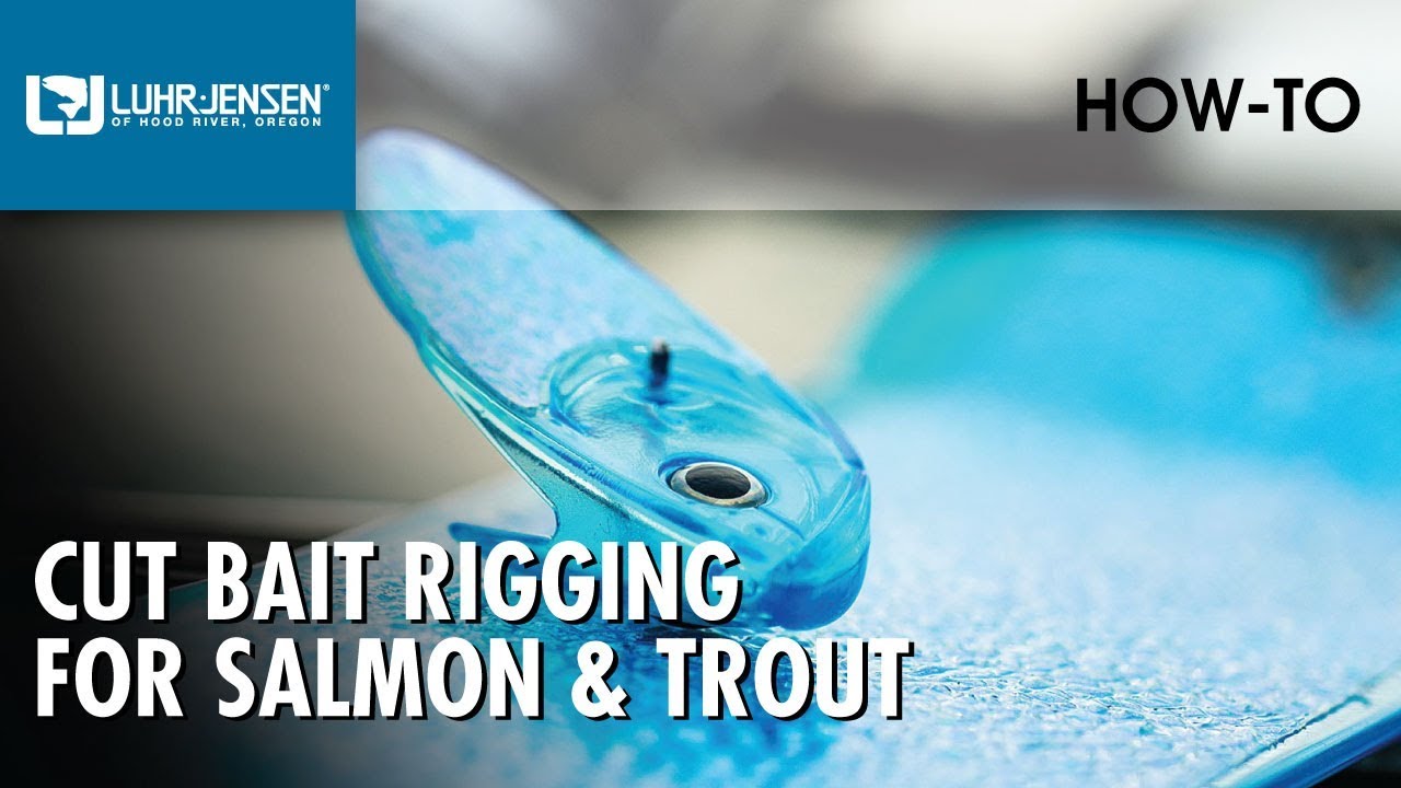 Luhr Jensen Cut Bait Rigging for Salmon & Trout | Luhr Jensen Fishing Tips