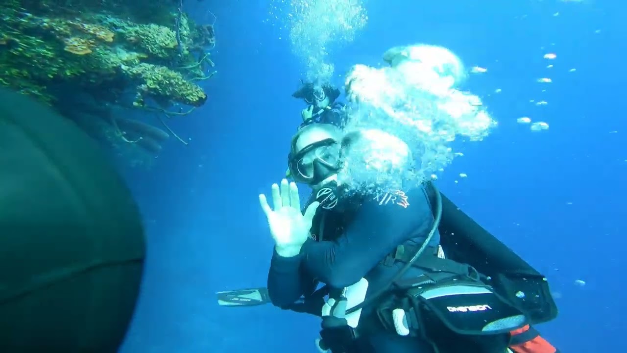 Dive 102