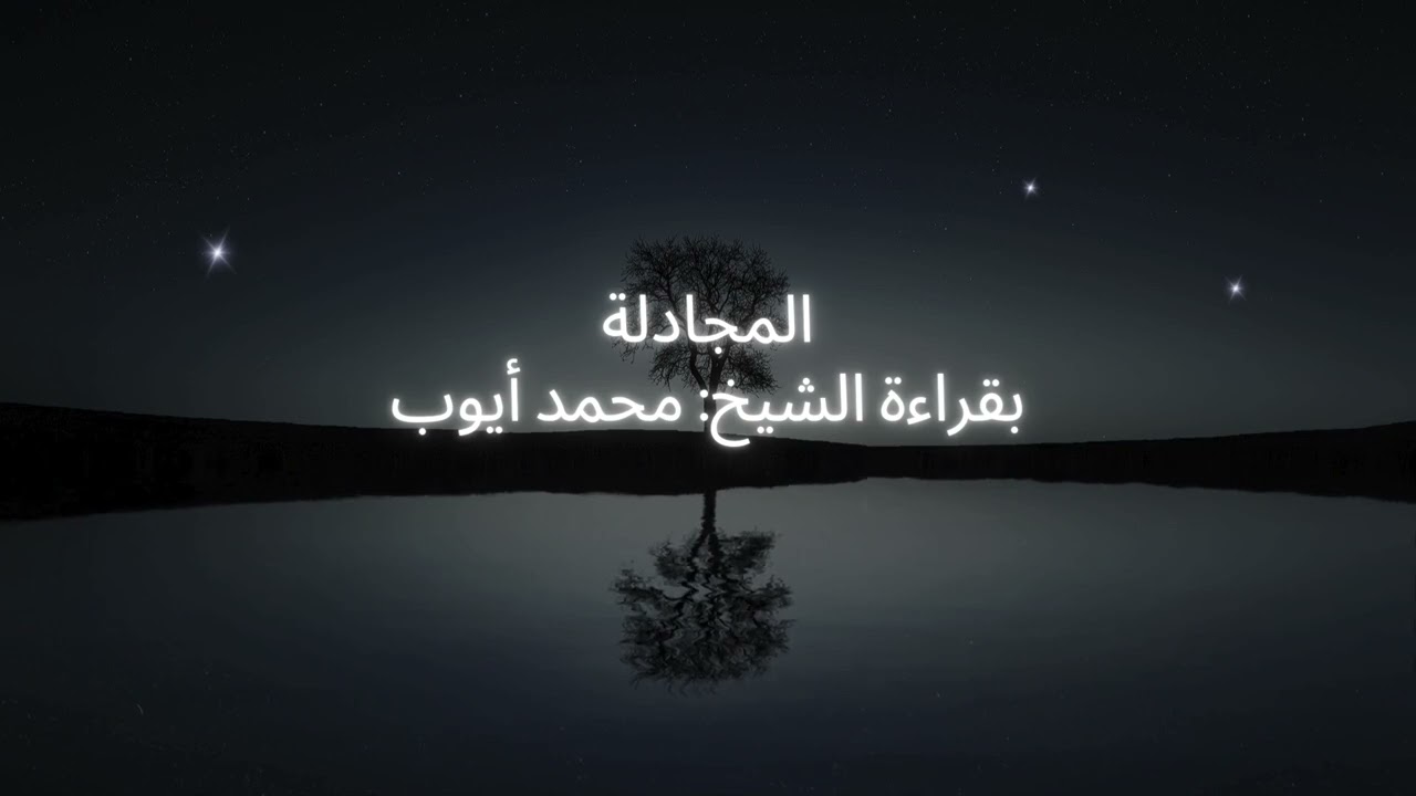 أحصاه الله ونسوه والله على كل شيء شهيد - محمد أيوب