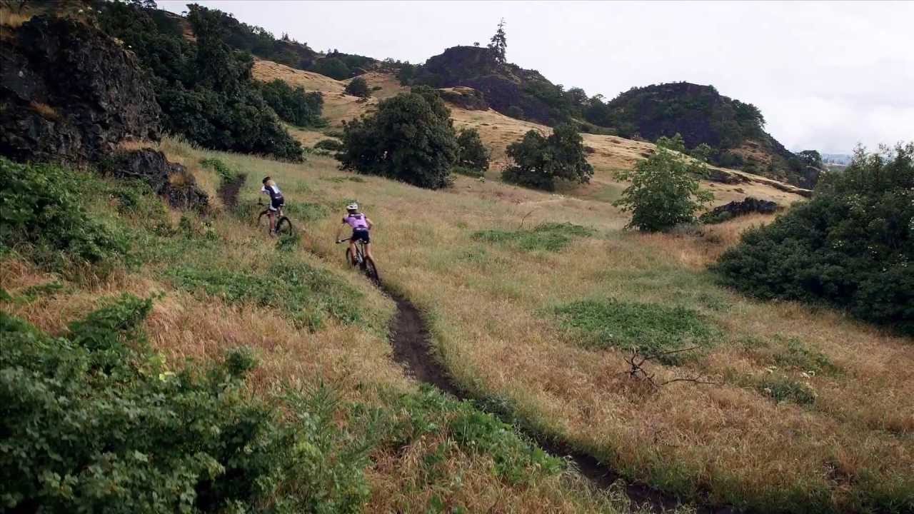Liv 27.5 -- Best of all Worlds