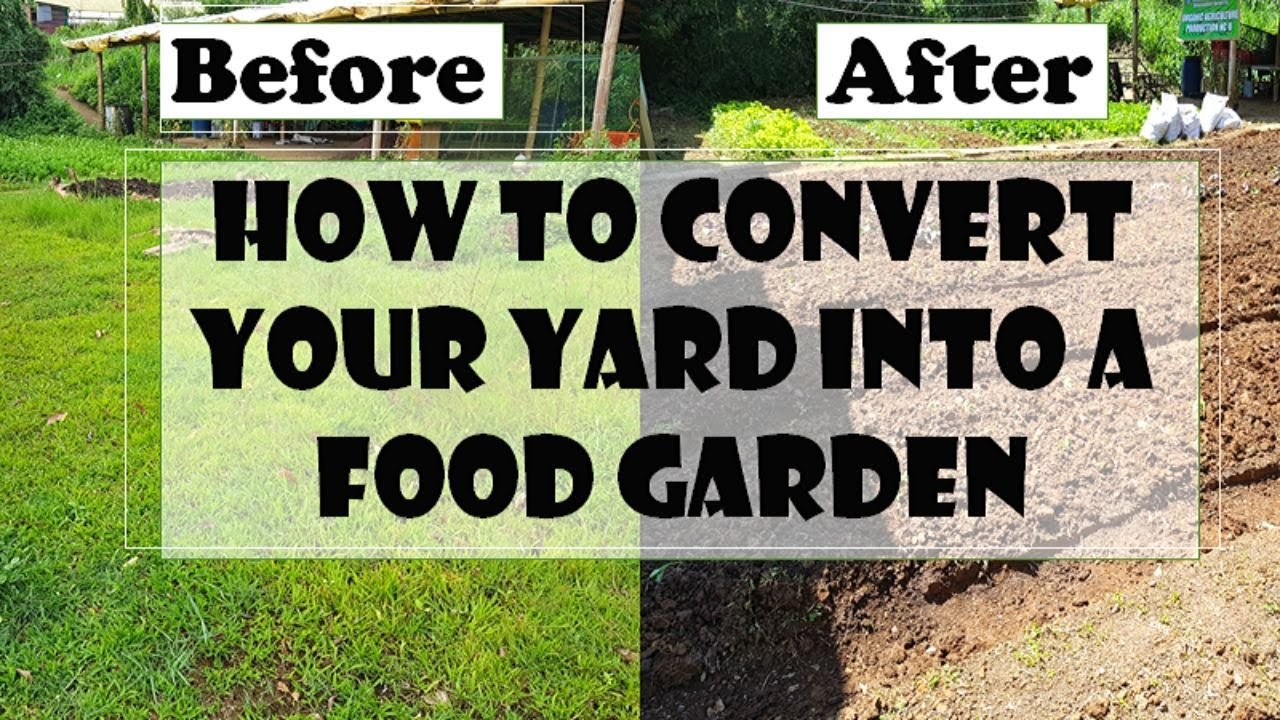How to Convert Your Backyard into a Food Garden
