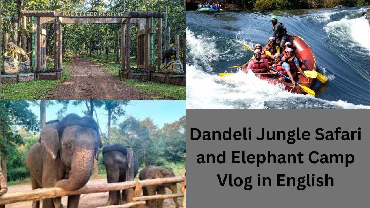 Dandeli Vlog | Kali Jungle Safari 🐅 | Crocodile Park 🐊 | Elephant Camp 🐘 | Vlog in English