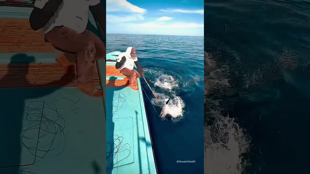 Raw Power Handline Strike in Action #fishingtuna #fishing #shorts