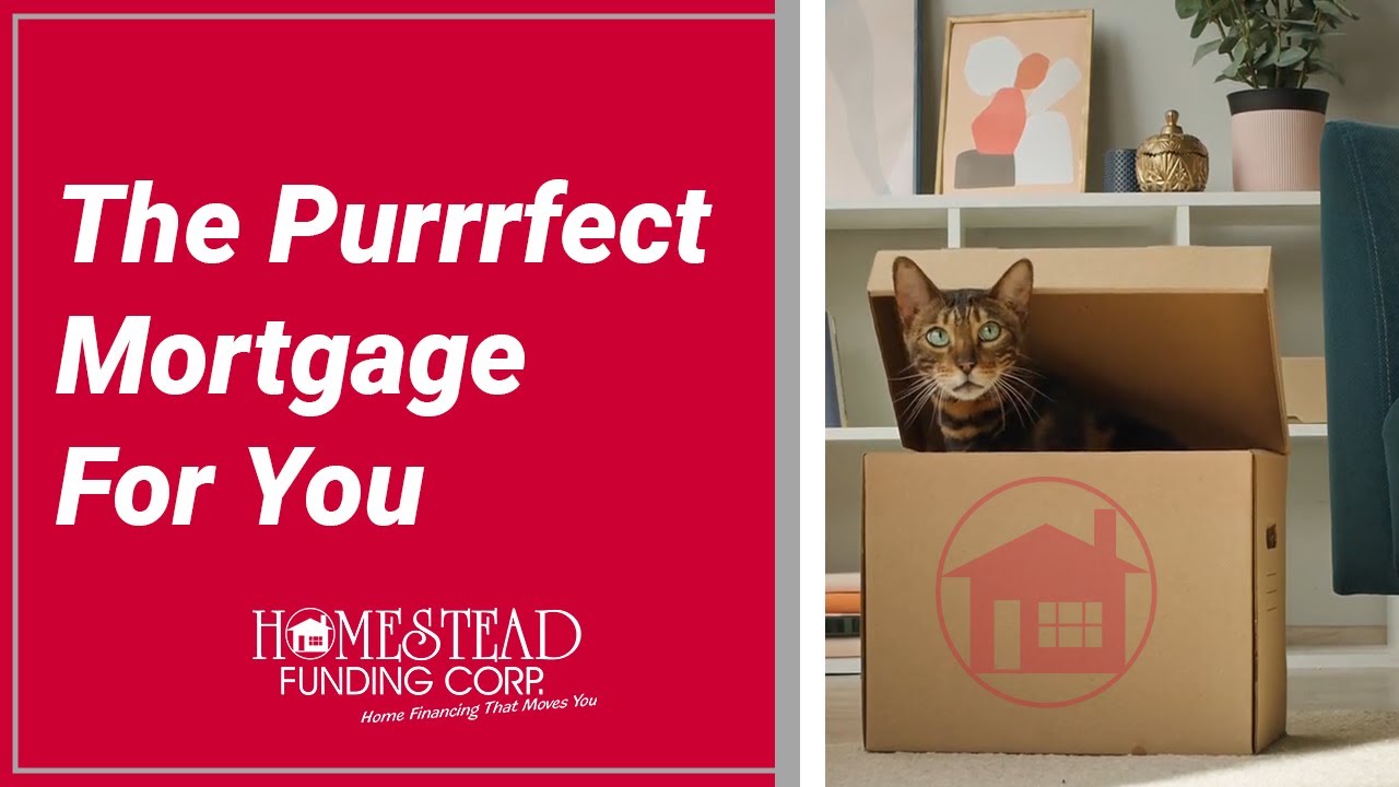 The Purrrfect Mortgage For You! Homestead Funding