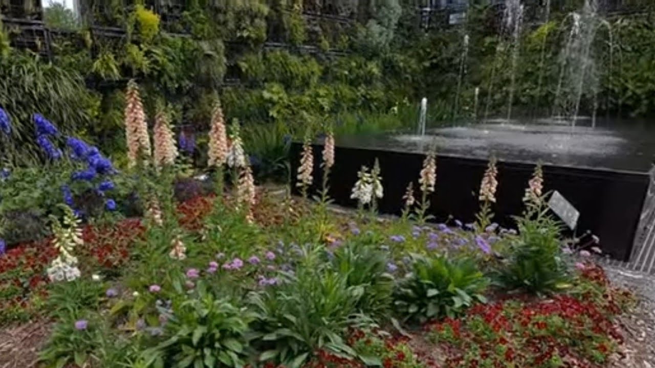 Tour of the New Orleans Botanical Garden  🌺🥰🌴// Suburban Oasis