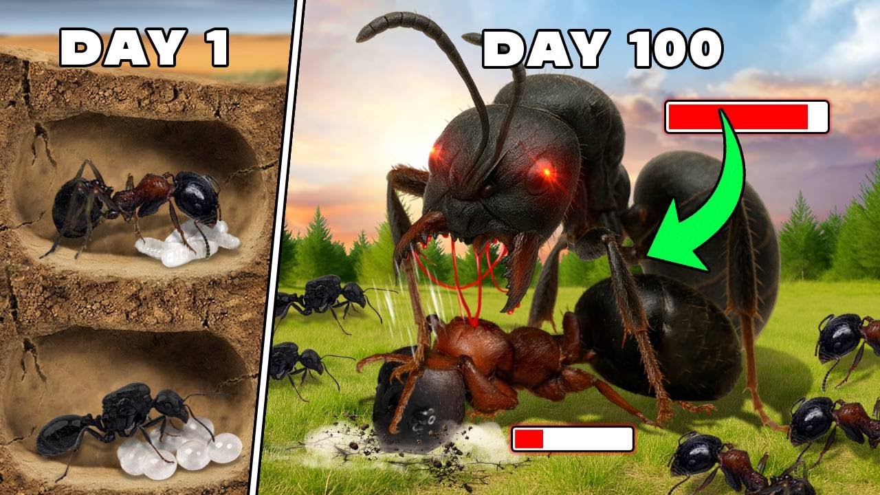 Simulating a Bullet Ant Colony for 30 days 😱 ANTTREK