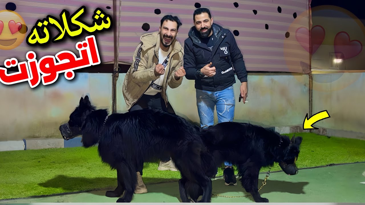 16 ساااعه في الشارع علشان أجوز شكلاته من اجمد كلب😍