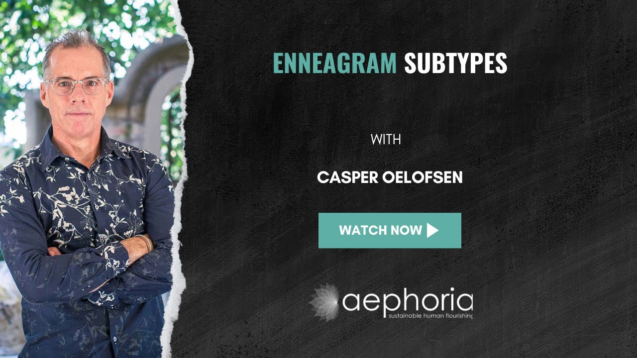 Enneagram Subtypes | Aephoria Partners