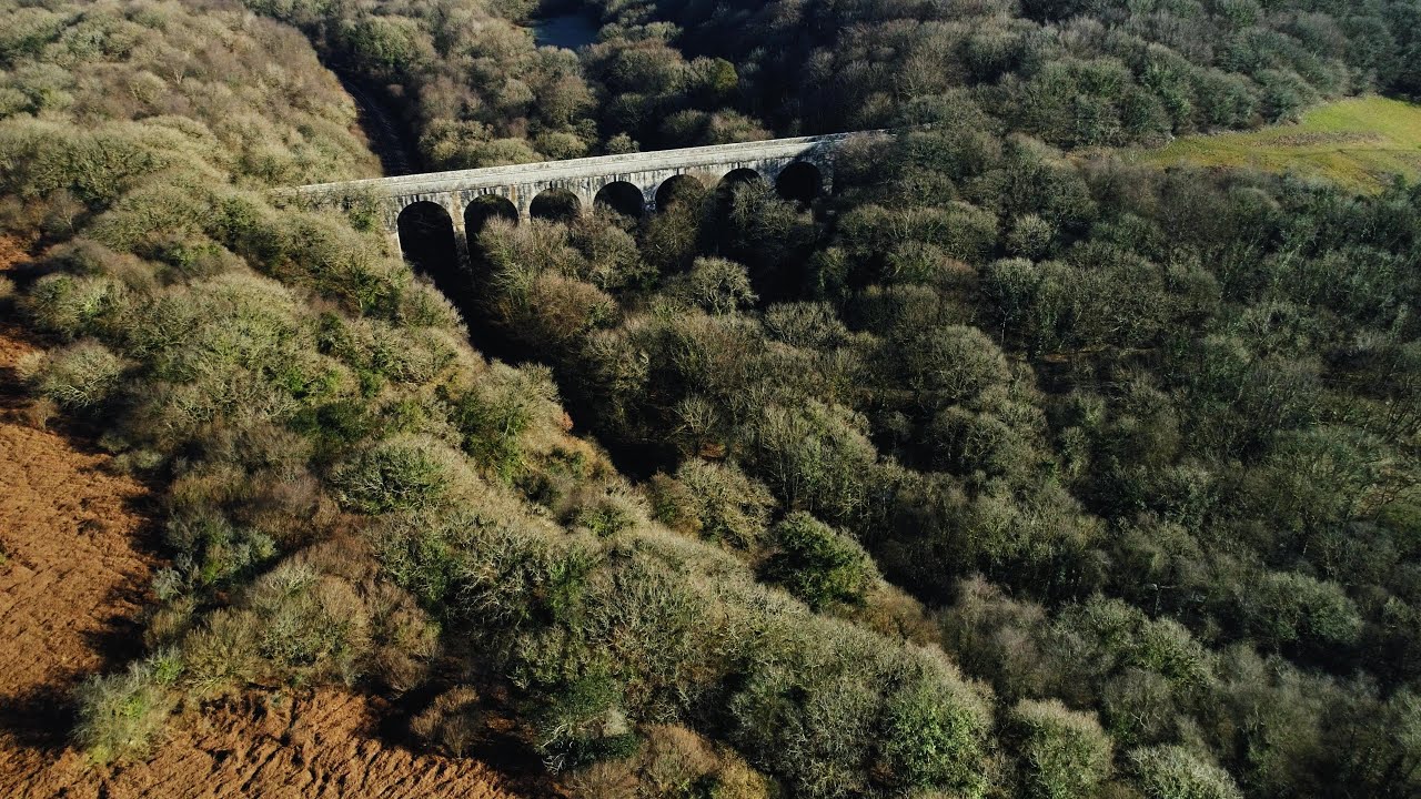 The Treffry Viaduct with John Smith