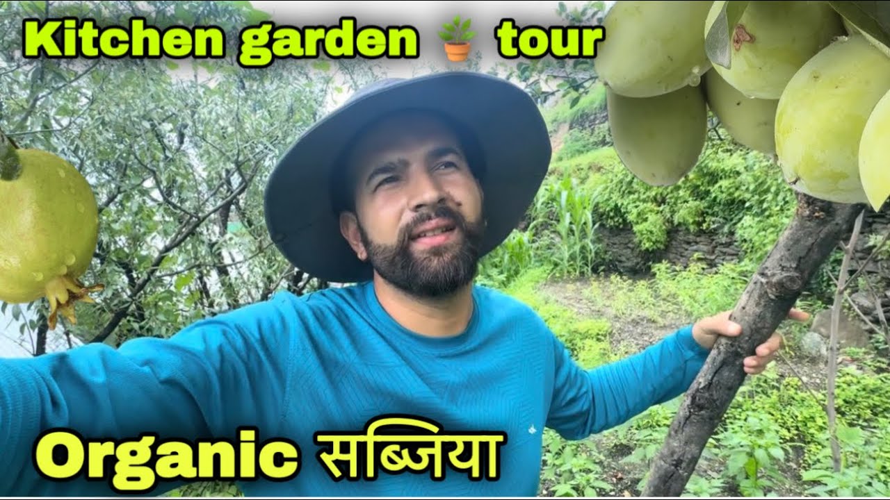 बरसात ☔️ में होती है अपने खेतों में तरह तरह की सब्ज़ी 🌶️|| Himachali village lifestyle vlog || RB