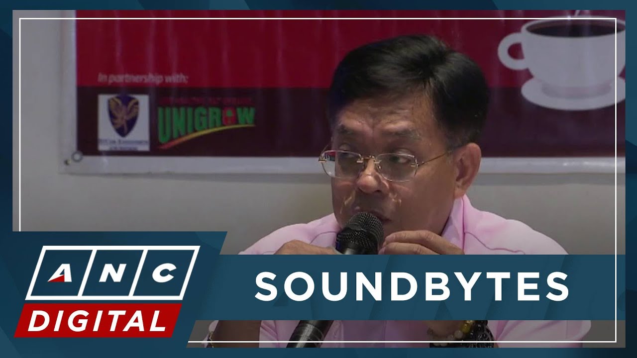 FULL: Madriaga&rsquo;s lawyer on claim VP Sara received campaign funds from POGO, drug lords | ANC