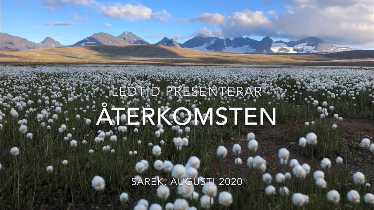 Sarek augusti 2020 - Återkomsten
