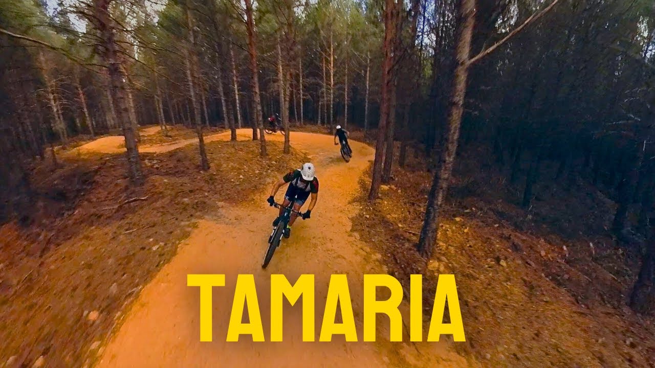 TAMARIA los caminos del monte Vindio
